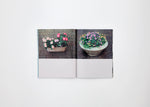 A Kind Garden by An Sangmi