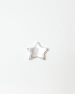 Silver star-shaped object on a white background
