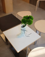 Table with a vase of greenery in a modern indoor setting